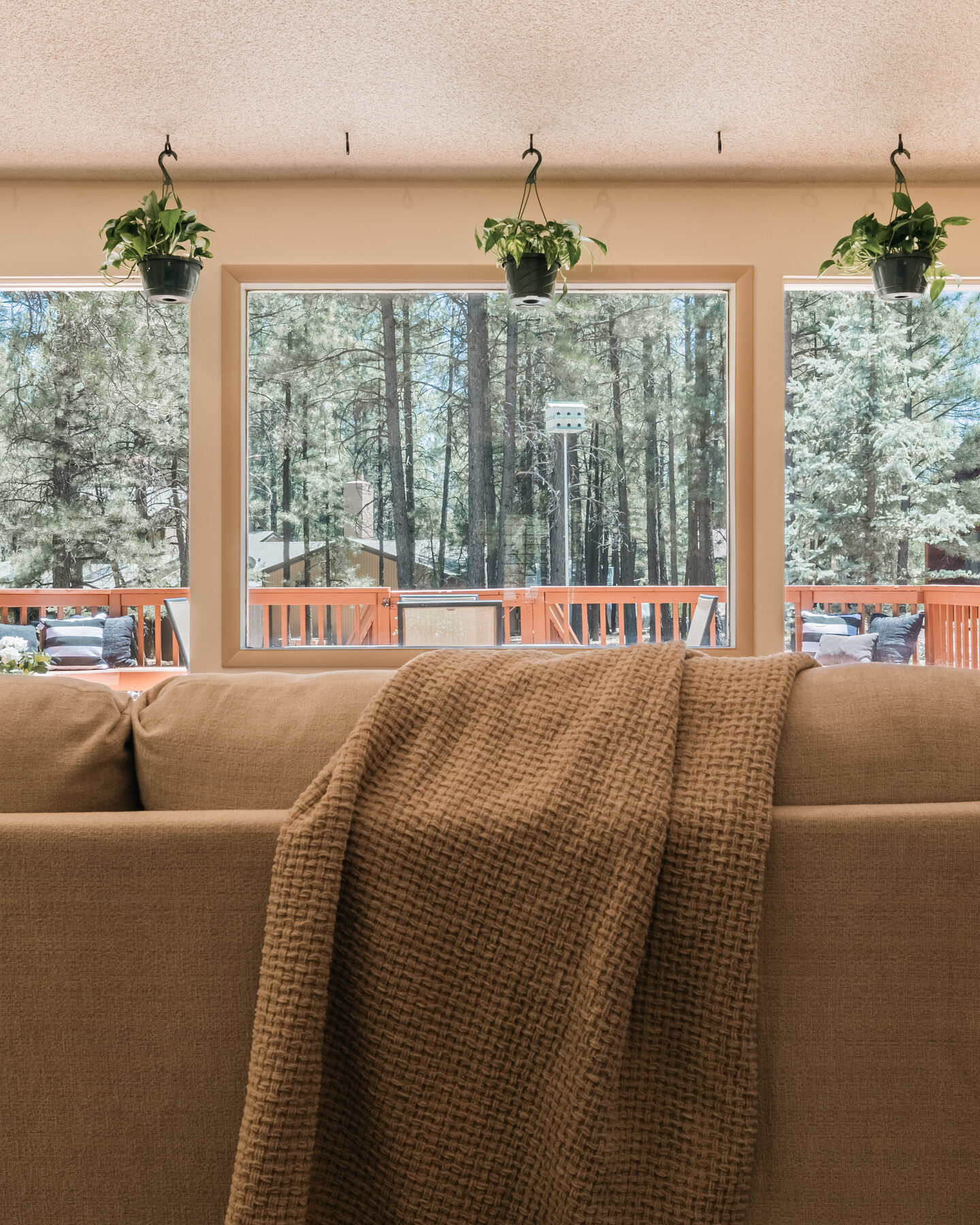 Real estate interior in Northern Arizona